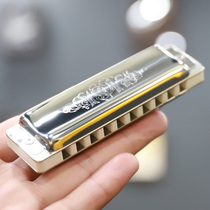 Germany Seydel Seydel 1847 Silver Ten 10 hole Blues harmonica Beginner Student Adult Professional