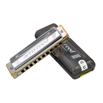 Japan Tongbao Tombo 2010 ten-hole blues harmonica beginner adult playing professional 10-hole blues