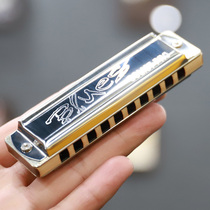 German Seydel Solist Pro ten 10-hole blues harmonica beginner adult professional student