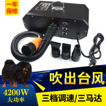 Three-motor pet water blower 4200W large wind large dog Tibetan mastiff silent dog blowing machine pet shop professional