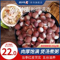 Guangdong Zhaoqing Gorgon rice chicken head rice fresh unsolid open edge Gorgon dry goods 250g with barley Poria