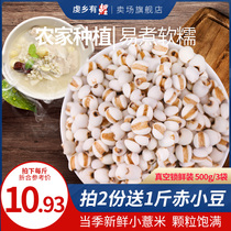 Fresh Guizhou small barley rice coix seed 500g * 3 bags fresh shelling coarse grains for sale