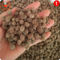 Guangxi Shanshan Nian Zi dry 1000g Myrtle Gang Minzigang Nunzi soak wine bulk