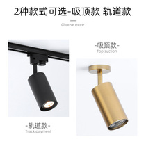 Nordic golden light spotlight living room dining room household ceiling light cloakroom clothing store LED track spotlight