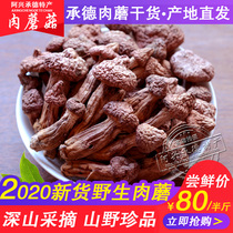 20 years of new goods Chengde specialty wild meat mushrooms 250g red mushrooms pine umbrella meat mushrooms dried edible mushrooms