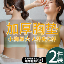 Small breasts for large gathering of thickened underwear Female small breasts flat breasts special section No steel ring bra explicit breast-free bra