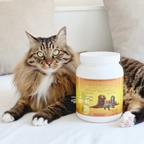 Meow News Agency American Direct Mail Bio-Coat Pet Bursting Powder Biotin Enhance Resistance Cow Hair