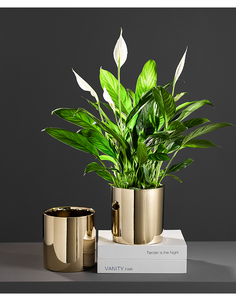 简约北欧黄铜金色陶瓷花盆仙人掌多肉花盆小号客厅绿植花瓶摆件