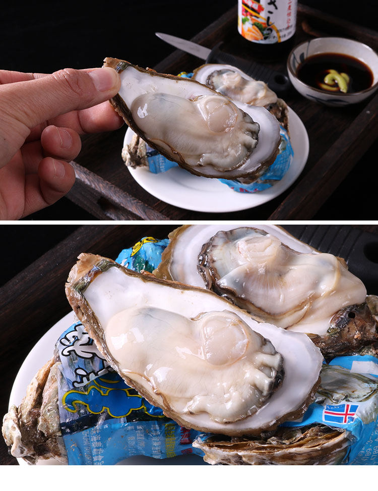 冰岛纯净生蚝16只 刺身级活蚝发货 顺丰包邮送蚝刀或柠檬 沃鲜汇