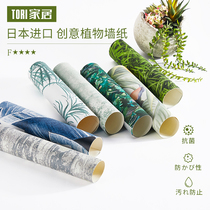 Japanese Oriental wallpaper imported Japanese pattern waterproof wallpaper living room bedroom home high-grade creative decorative wallpaper