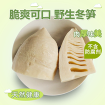 Winter asparagus fresh wild spring asparagus bagged Jiangxi specialty farmers now dig crispy bamboo shoots Bacon Winter asparagus hot pot bamboo shoots 5 kg