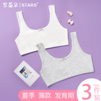 Teenage Girl Hair Birth Small Vest Thin inside Wearing Summer Pure Cotton Elementary School Kids Underwear Adolescence Junior High School Kids Bra