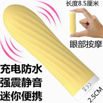 Charging small vibration massager for women with eyes face facial part massage stick shake multifunctional waterproof massage pen