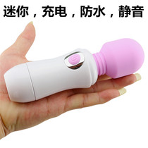 Small Shake Student Women With Massage Stick Private handheld electric massagers Divine Instrumental Girlfriends Gift