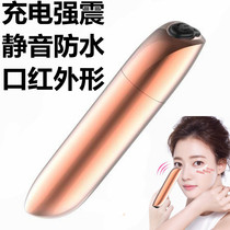 Portable mute mini charging Massage Stick Strong Shake Miniature Electric Massagers Holding Face Eye Massage Pen Private