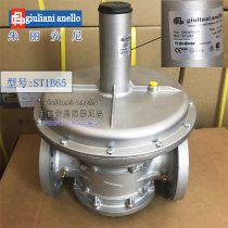 Brand direct selling agent Italy imported giuliani anelloST1B65 natural gas pressure stabilizing valve