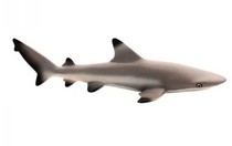 Animal model American toy animal S black fin reef shark black fin shark