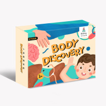 Bat rabbit Human Body Exploration childrens science experiment equipment handmade set puzzle kindergarten Primary School Toy