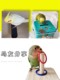 Parrot Toy Supplies Shopping Trolley Scooter Bell Cloth Ball Molar Stone Ring Shooting Piggy Bank Training