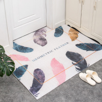 Access door mat door mat entrance carpet can be cut household silk loop non-slip Nordic entrance Net red mat