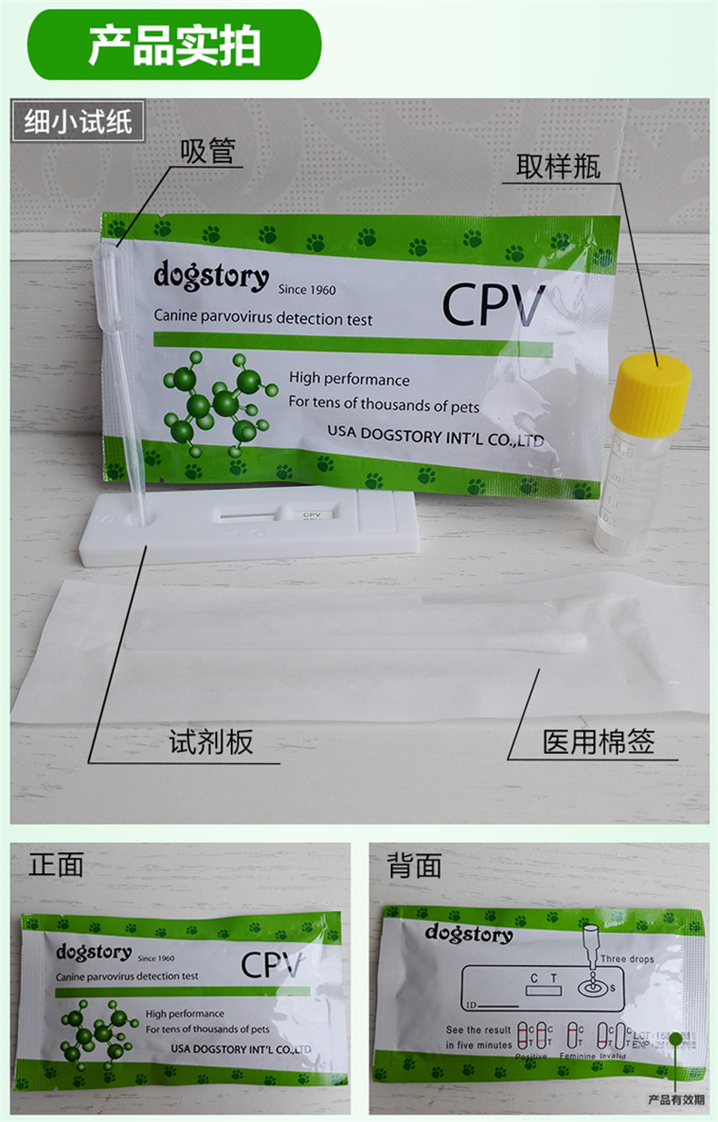 犬瘟细小检测试纸cdv cpv