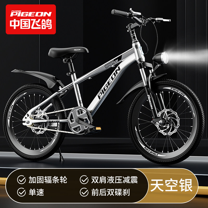 Велосипед горный Flying Pigeon Challengers 18" серебристый, спицы, 1 скорость