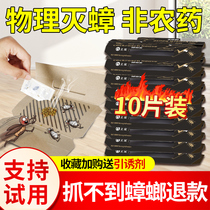 Cockroach house sticker powerful stick cockroach drug home indoor non-toxic kitchen One cohort end for all except for small strong deity