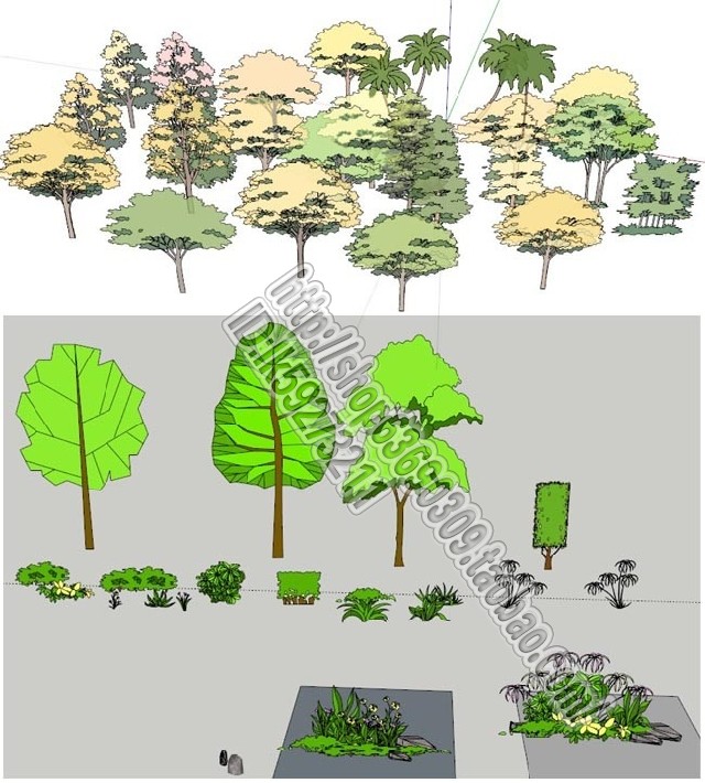 最新su园林景观植物模型素材库草图大师环艺模型库sketchup组建