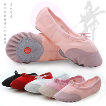 Childrens meat pink dance shoes autumn womens soft bottom practice shoes performance ballet shoes leather head girl cat claw dance shoes