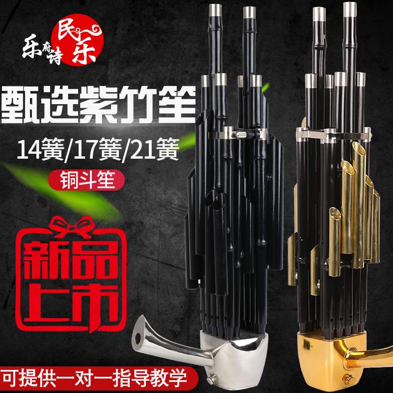 Sheng instrument professional beginner 14 spring square Sheng 17 spring 21 spring round Sheng Drop B drop CED tune Beginner Sheng instrument