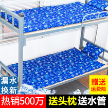Waterbed ice mat mattress water cushion summer cooling bag water mat single cold water mattress summer dormitory cooling artifact