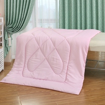 Thickened Beauty Bed Cover Quilt Core Beauty Salon Massage Bed Special Quilt Core White Small Quilt Core Warm Special Price Bag