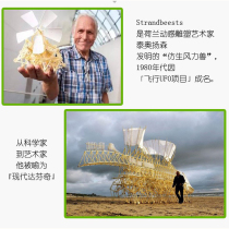 Educational toys adult Science bionic wind beast DIY hand-assembled toy creative birthday gift