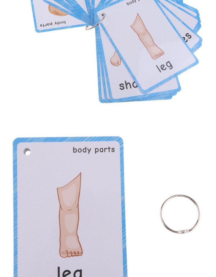 五感身体部位body part英语闪卡片幼儿童启蒙小学教师具拼读双语