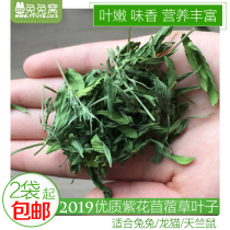 Clover Grass Leaf Purple Flower Clover Leaf 500g Rabbit Grass Grain Dry Grass Dragon Cat Feed Grass 2 Packs Up