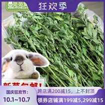 Rabbit nest selected drying alfalfa rabbit grain chinchat feed guinea pig pasture hay gross weight 1kg
