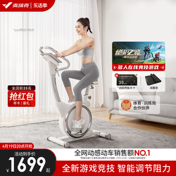 Merrick spinning bicycle home gym bicycle magnetically controlled weight loss equipment indoor sports fitness ultra-quiet