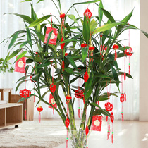 Small lantern hanging decoration Housewarming opening bonsai indoor outdoor scene arrangement flocking mini red lantern decorative pendant