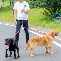 Two Dogs One Drag Two Traction Rope Teddy Gold Wool Double Head Dog Chain Small Dog Large Dog Dog Rope Pet Supplies