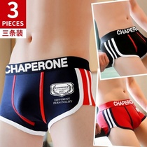 Mens cotton underwear triangle 100 cotton cotton fabric boxer underwear young handsome four-corner pants sexy men