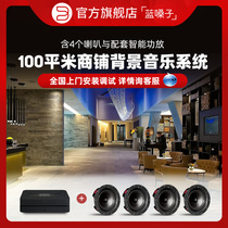 (Customized solution) high-end store ceiling ceiling audio suspension HIFI ceiling embedded speaker amplifier