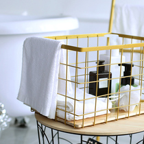 ins wrought iron storage basket cosmetics storage basket home desktop sundries books snack basket washing storage basket