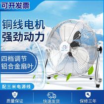 Brand fan floor fan five-leaf three-leaf wind copper core 10-12 inch industrial fan lying electric fan factory site
