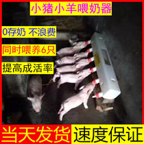 Piglet feeding automatic artifact milk lamb animal piglet Milk Baby Baby Baby Baby Baby Baby 6 mouth animal drinking milk multi mouth