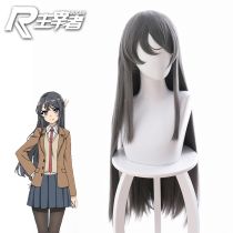 The masters adolescent fool doesnt do a bunny girls dream Sakurajima Mayi sister cos wig