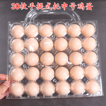 30 medium portable egg tray disposable plastic egg box transparent gift box PET blister egg packaging box