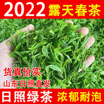 Shandong Zhizhao Green Tea 2022 New Tea Authentic high mountain open-air spring tea full-bodied and bubbleboard Chestnut Fragrant bagged 500g