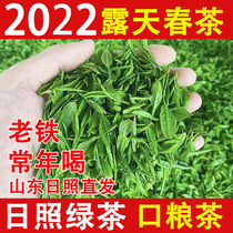 Shandong Zhizhao Green Tea 2022 New Tea Authentic Alpine Open-air Spring Tea Bagged Intense-bodied Rations Tea 500g