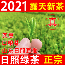 Shandong Zhizhao Green Tea 2021 New Tea Authentic high mountain open-air spring tea thick and strong bagged rations tea 500g