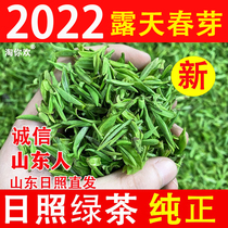 Shandong Zhizhao Green Tea 2022 New Tea Special Class Alpine Open-air Head Picking Spring Tea Handcrafted Strong Scent Type Bagged Bagged 500g